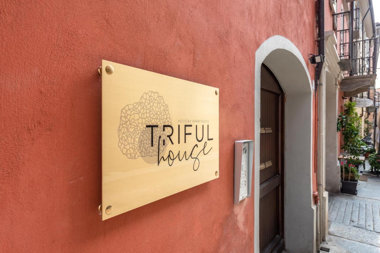 Trifulhouse Holiday Apartments Alba  Zewnętrze zdjęcie